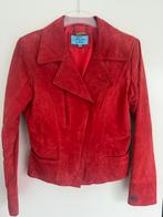 Suede Rood Jack, Ophalen of Verzenden, Zo goed als nieuw, Jasje, Fiore by Dekkers
