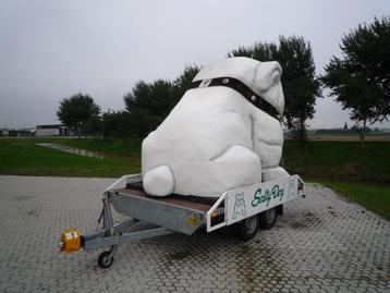 aanhanger met Salty Dog  beschikbaar voor biedingen