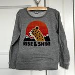 Sweater HEMA - mt 110, Meisje, Trui of Vest, Ophalen of Verzenden, Zo goed als nieuw