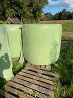 12 grote balen hooi (van vorig jaar), Ophalen of Verzenden, Vee