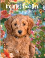Australian Labradoodle Pups, CDV (hondenziekte), Overige rassen, 8 tot 15 weken, Meerdere