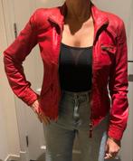 Sluis Lederen Jack - Maat S - Nieuwstaat!, Ophalen of Verzenden, Zo goed als nieuw, Maat 36 (S), Rood