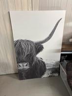 Schotse hooglander, Ophalen, Zo goed als nieuw, Schilderij, Minder dan 50 cm