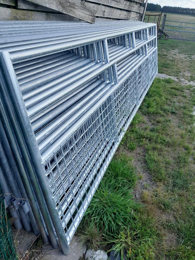 Landhekken Gegalvaniseerd, Dieren en Toebehoren, Schapen, Geiten en Varkens, Schaap, Vrouwelijk