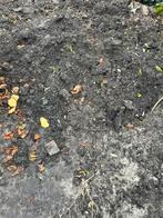 Gratis vruchtbare aarde, Tuin en Terras, Grind, Keien en Split, Ophalen of Verzenden, Zo goed als nieuw, Overige typen