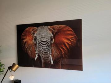 Glazen Schilderij Olifant 120x80cm beschikbaar voor biedingen