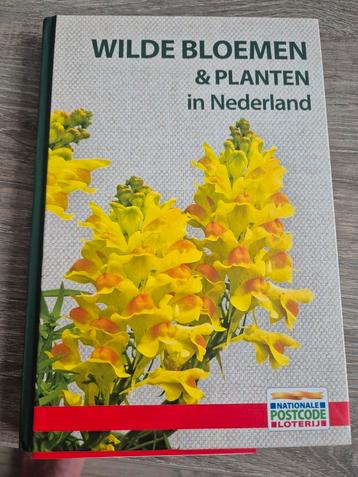 Wilde bloemen & planten beschikbaar voor biedingen