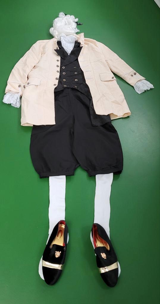 Venetiaans kostuum - Historisch thema, Kleding | Heren, Carnavalskleding en Feestkleding, Zo goed als nieuw, Maat 56/58 (XL), Ophalen of Verzenden