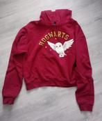 Harry Potter trui met Hedwig rood maat 158/164, Jongen of Meisje, Trui of Vest, Ophalen of Verzenden, Zo goed als nieuw