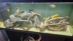 Jewel aquarium  helemaal compleet., Dieren en Toebehoren, Vissen | Aquaria en Toebehoren, Ophalen, Zo goed als nieuw, Gevuld zoetwateraquarium