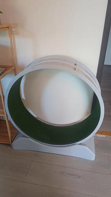 Kattenwiel beschikbaar voor biedingen