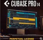 Steinberg cubase 14 pro, Computers en Software, Ophalen of Verzenden