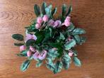 Kransje met Roze Roosjes en Deco Nieuw, Ophalen of Verzenden, Nieuw