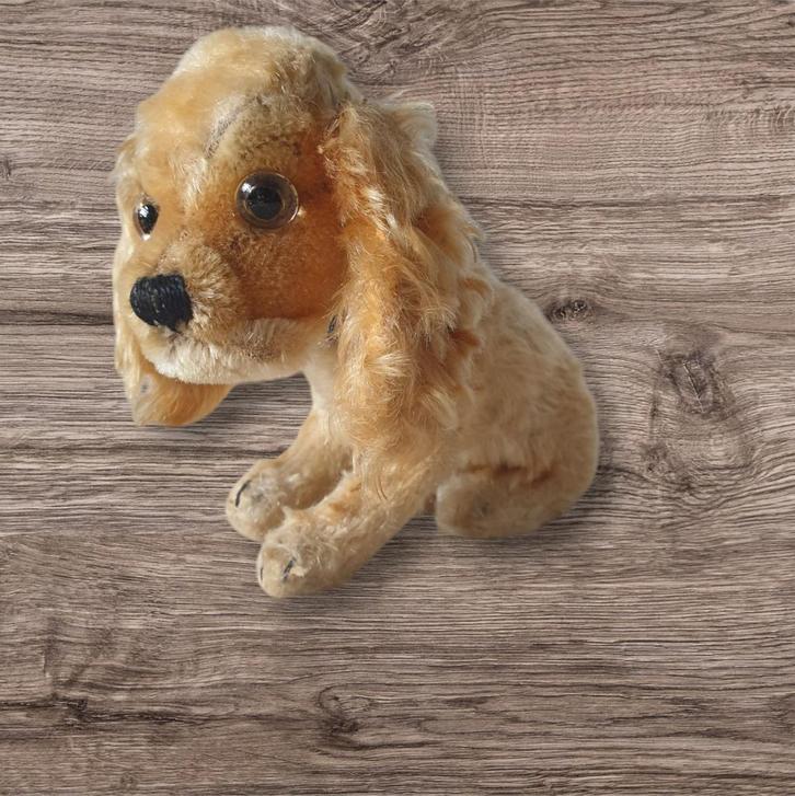 Vintage Steiff Cocker Spaniel Revue Susie knuffel hond 15 cm, Antiek en Kunst, Antiek | Speelgoed, Ophalen of Verzenden