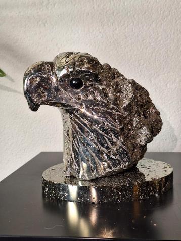 Pyriet Adelaar 7,6 kilo! beschikbaar voor biedingen