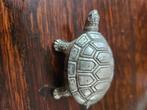 Schildpad medicijndoosje verzilverd, Ophalen