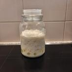 melk kefir, Ophalen