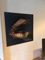 Schilderijen plexiglas zonder beschadigingen, Ophalen