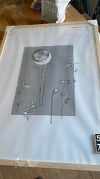 Poster lijst hema, Ophalen, Zo goed als nieuw, Kunststof, Minder dan 50 cm