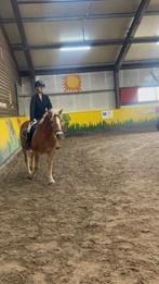 Bijrijder aangeboden!, Ophalen of Verzenden, Nieuw