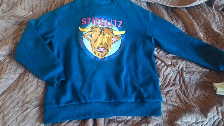 Stieglitz trui maat s, Kleding | Dames, Truien en Vesten, Zo goed als nieuw, Maat 38/40 (M), Ophalen of Verzenden