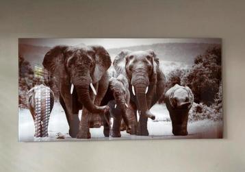 Schilderij olifanten op glas beschikbaar voor biedingen