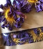 blue lotus (blauwe lotus producten), Ophalen of Verzenden, Zo goed als nieuw