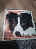 Diamond paintings, Ophalen of Verzenden, Minder dan 50 cm, Schilderij, Minder dan 50 cm