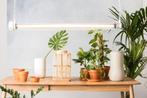 Zuiver Prime L Led Lamp - Wit Nieuw in doos, Ophalen, Zo goed als nieuw, Modern, Minder dan 50 cm