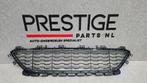 BMW Serie 1 F20 F21 LCI M PAKKET MIDDEN ROOSTER GRILLE COVER, -, Nieuw, Ophalen of Verzenden, -