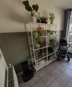 Ikea vitrinekast wit, Huis en Inrichting, Ophalen, Gebruikt, 50 tot 100 cm, 150 tot 200 cm