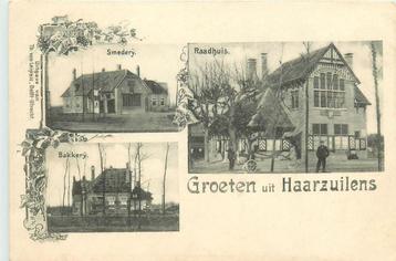 (701-187-015) Haarzuilens beschikbaar voor biedingen