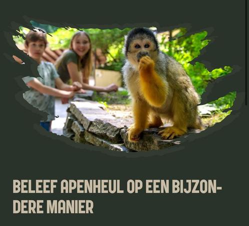 Apenheul 2Etickets voor , normaal 55 euro per 2 personen pp, Tickets en Kaartjes, Recreatie | Overige, Twee personen, Ticket of Toegangskaart