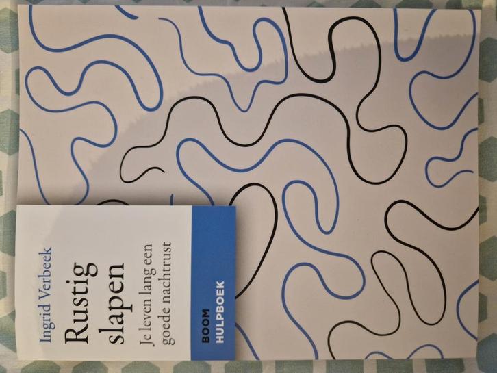 Ingrid Verbeek - Rustig slapen, Boeken, Psychologie, Zo goed als nieuw, Ontwikkelingspsychologie, Ophalen of Verzenden