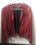 Leren jas massimo dutti bordeaux, Ophalen, Zo goed als nieuw, Maat 38/40 (M), Rood