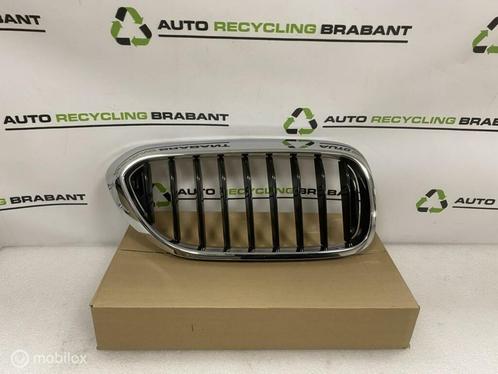 Grill Nier Rechts BMW 5 Serie G30 G31 M-PAKKET 51137390864, Auto-onderdelen, Carrosserie en Plaatwerk, BMW, Gebruikt, Ophalen of Verzenden