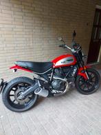 Ducatie Scrambler  Icon, Motoren, Motoren | Ducati, Particulier, Meer dan 35 kW, 800 cc, Naked bike
