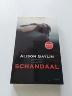 Alison Gaylin : Schandaal ( in nieuwstaat ), Ophalen of Verzenden, Zo goed als nieuw, Alison Gaylin, Amerika