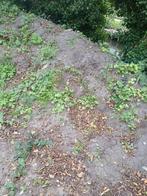 Grond, Tuin en Terras, Aarde en Mest, Ophalen, Tuinaarde
