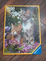 Ravensburger puzzle katten 1000 stukjes, 500 t/m 1500 stukjes, Legpuzzel, Zo goed als nieuw, Ophalen