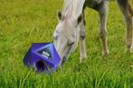Maximus Feed & Play, Voerbal, Speelbal, Dieren en Toebehoren, Ophalen of Verzenden, Nieuw