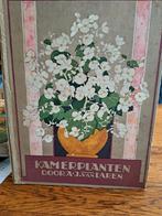 Verkade album Kamerplanten, Antiek en Kunst, Antiek | Boeken en Bijbels, Ophalen of Verzenden