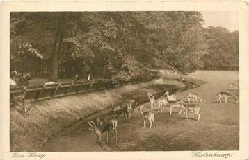 (300-159-019) Den Haag Hertenkamp beschikbaar voor biedingen
