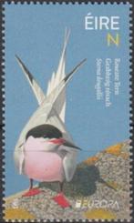 2019 Ierland Fauna Vogels CEPT Stern - Goudplevier, Postzegels en Munten, Postzegels | Thematische zegels, Ophalen of Verzenden