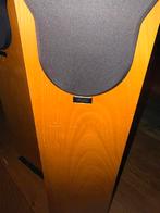 Chario Luidsprekers - Topkwaliteit Geluid, Audio, Tv en Foto, Luidsprekers, Gebruikt, 60 tot 120 watt, Front, Rear of Stereo speakers