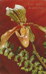 BLOEM BLOEMEN UIT 1961 ZEER MOOIE KAART KH687, Verzamelen, Ophalen of Verzenden, 1960 tot 1980, Gelopen, Overige thema's