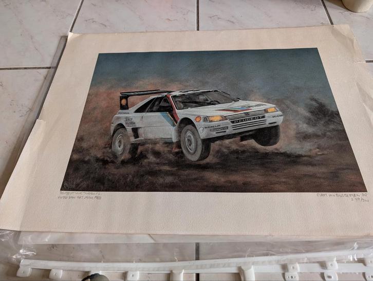 Evert van Binsbergen Peugeot 405 turbo zeefdruk. Jaren 80, Antiek en Kunst, Kunst | Tekeningen en Foto's, Ophalen of Verzenden