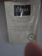 Schilderij, Ophalen of Verzenden