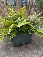 Grote varen  met plantenbak 35 x 35 x 32 cm, Ophalen, Kunststof, Minder dan 60 cm, Vierkant