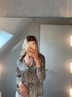 Satijnen Blouse, Huizen en Kamers, Op zoek naar een kamer